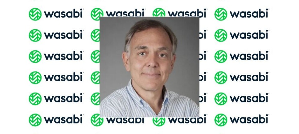 Wasabi David Friend teaser.