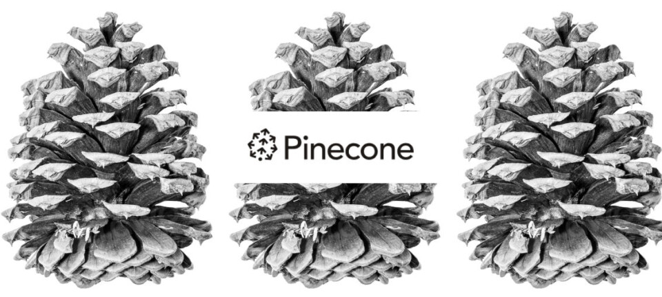 Pinecone teaser.
