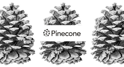 Pinecone teaser.