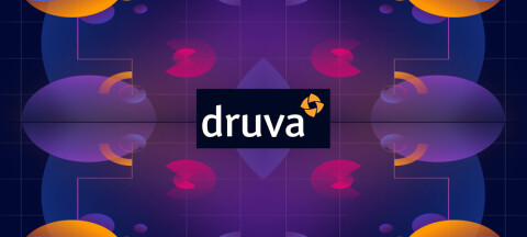 Druva teaser.
